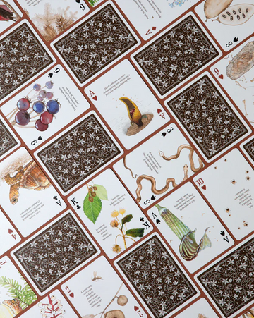 Eastern Forest Playing Cards - 0