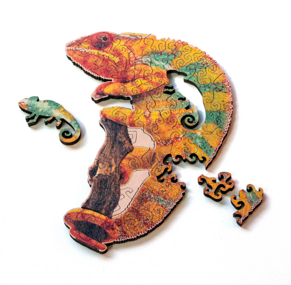 Mini Chameleon Puzzle