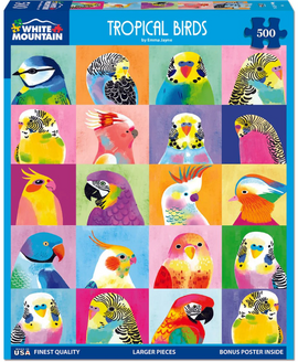 Tropical Birds