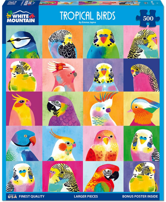 Tropical Birds