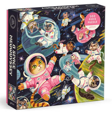 A Space Meowdyssey