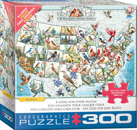 Puzzle box with a map design featuring birds and flowers, labeled 'Eurographics Puzzle 300'.