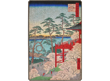 Kiyomizu Hall and Shinobazu Pond at Ueno