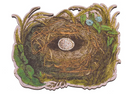 Bird's Nest-1