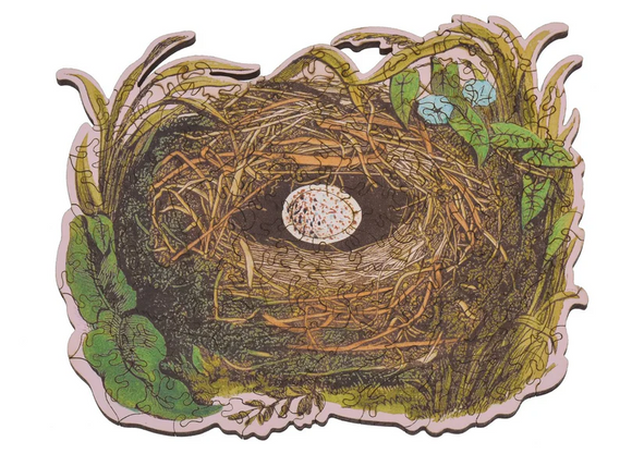 Bird's Nest