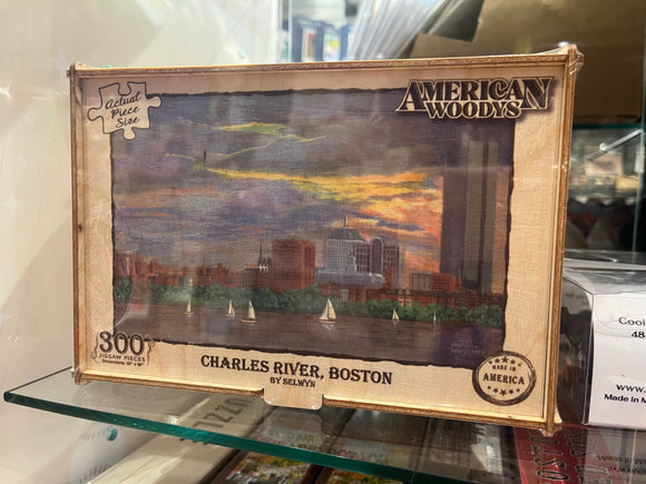 Picture of the Box of the Charles River, Boston jigsaw puzzle.
