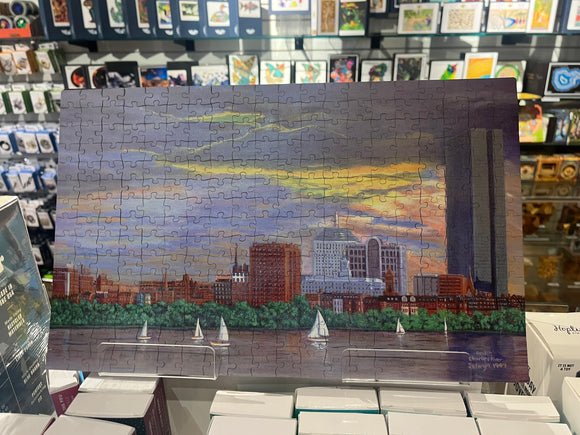 picture of the constructed jigsaw puzzle.