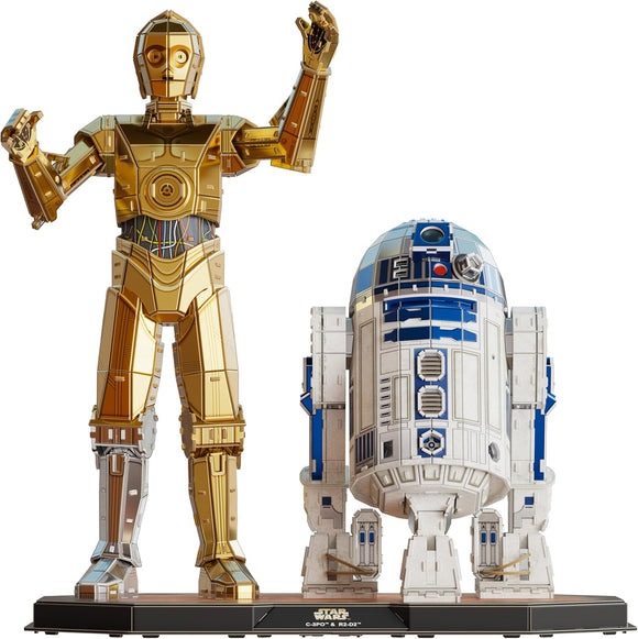 C-3P0 & R2-D2 Finished Models