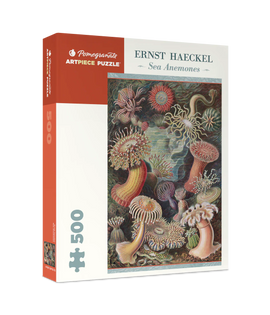 Sea Anemones