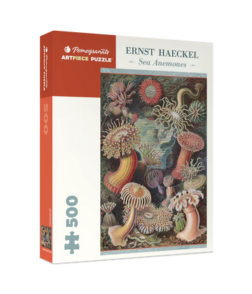 Sea Anemones