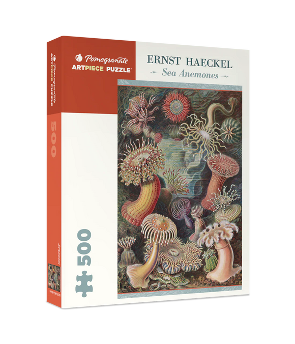 Sea Anemones