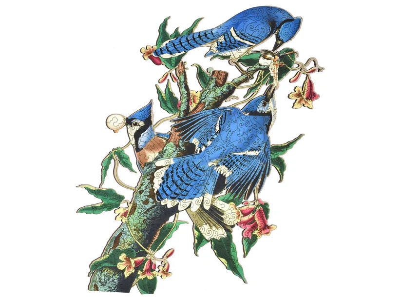 blue jay art