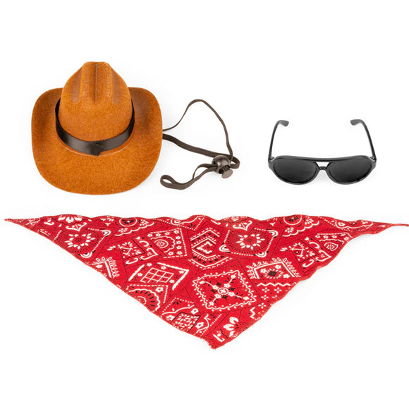 Cowboy hat, bandana, and aviators for a cat.