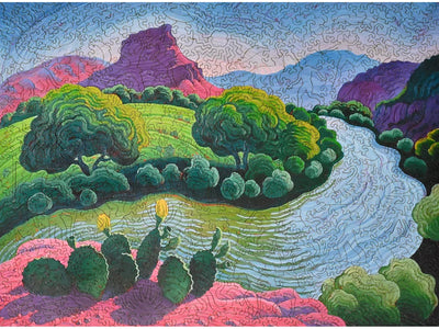 cactus above chama art