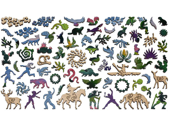 cactus above chama whimsy