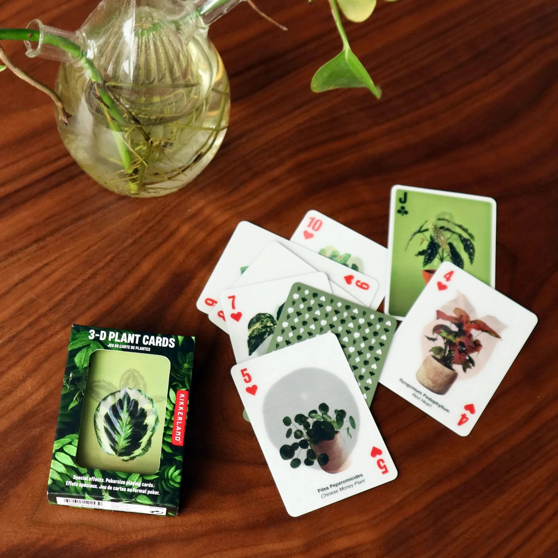 3D Plant Cards - 0
