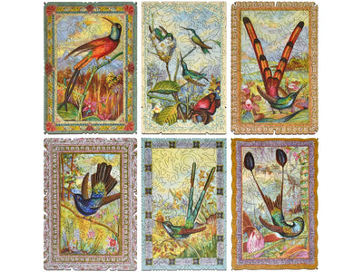 hummingbird collection