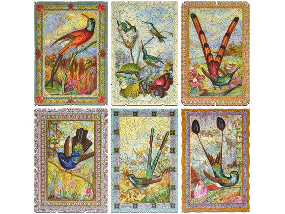 hummingbird collection