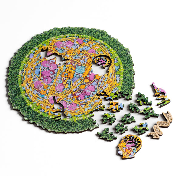 Image of mostly-solved jigsaw depicting a bacterium