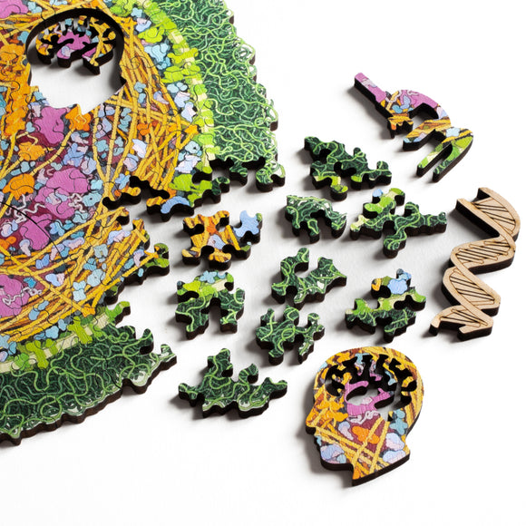 Closeup showing brain, microscope, and DNA whimsy pieces