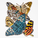 Completed puzzle, showing colorful butterflies