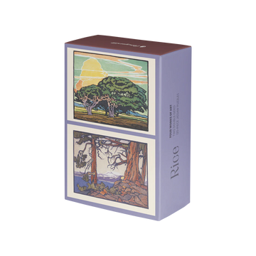 Rice puzzles front of the box