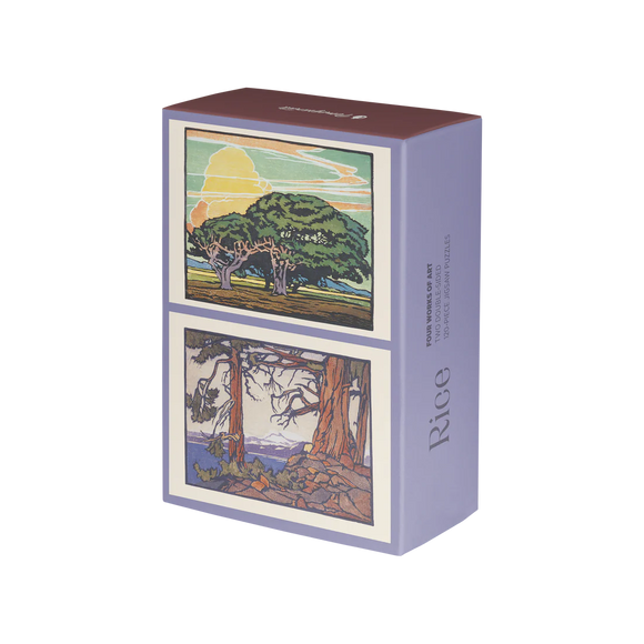 Rice puzzles front of the box