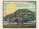 Rice, Del Monte Oaks puzzle assembled