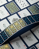 Curious Wonders Playing Cards