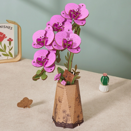 Purple Moth Orchid Model