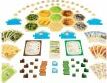 A vibrant collection of game components for Catan: 5-6 Player Extension. The image displays hexagonal tiles representing different terrains, player pieces in blue and green, resource cards, development cards, and a game board, all set up for an exciting multiplayer experience.