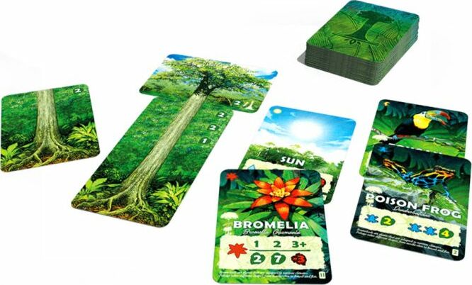 Canopy board game by Weird City Games, featuring beautifully illustrated cards with a vibrant tree motif, including cards like Bromelia, Sun, and Poison Frog. The layout shows various game components, perfect for players who enjoy strategy and nature-themed gameplay.