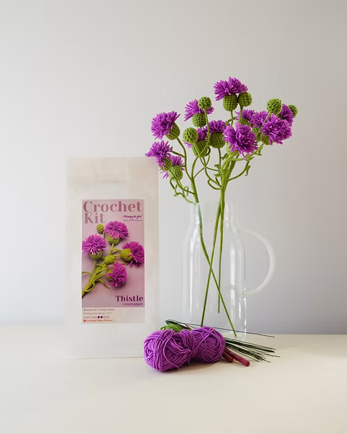 Thistle DIY Crochet Kit displayed in a vase next to packaging and materials