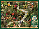 A vibrant jigsaw puzzle featuring a succulent garden overflowing with various cacti, succulents, colorful flowers, and small ornamental stones. The intricate details of the plants showcase a rich variety of textures and colors, inviting nature enthusiasts to piece together this beautiful scene. The Cobble Hill brand logo is featured prominently on the packaging, highlighting that this is a 1000-piece puzzle that includes a poster for reference.