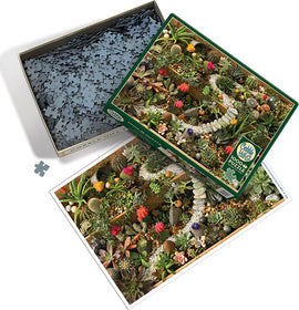 Cobble Hill Jigsaw Puzzle titled 'Succulent Garden'. The image shows a colorful arrangement of various succulents, cacti, and pebbles, showcasing vibrant greens and pops of pink, red, and orange flowers. The puzzle pieces are scattered within an open box, with the puzzle layout visible beside it, depicting the lush garden scene.