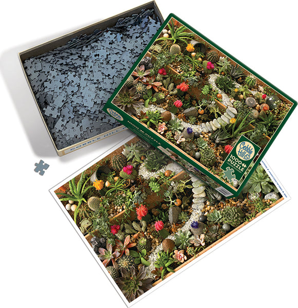 Cobble Hill Jigsaw Puzzle titled 'Succulent Garden'. The image shows a colorful arrangement of various succulents, cacti, and pebbles, showcasing vibrant greens and pops of pink, red, and orange flowers. The puzzle pieces are scattered within an open box, with the puzzle layout visible beside it, depicting the lush garden scene.