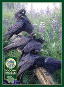 Raven Rendezvous jigsaw puzzle by Cobble Hill featuring a striking image of five black ravens perched on a log, surrounded by vibrant purple lupins and greenery. This 1000-piece puzzle includes a poster for reference.