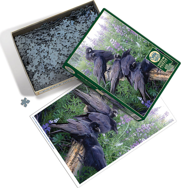 Cobble Hill jigsaw puzzle titled 'Raven Rendezvous'. The image shows a beautifully detailed illustration of ravens perched on a log among purple flowers. The puzzle box is opened, revealing numerous gray jigsaw pieces. A completed image of the puzzle is positioned next to the box, showcasing the serene scene of nature.