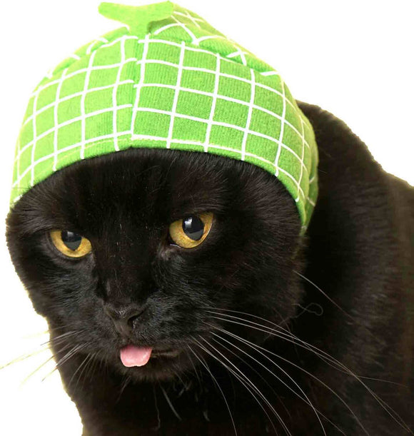 Cat Cap Blind Box (Fruit)