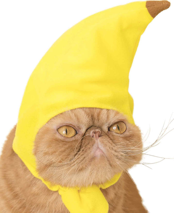 Cat Cap Blind Box (Fruit)