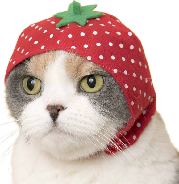 Cat Cap Blind Box (Fruit)