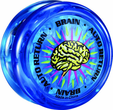 Brain