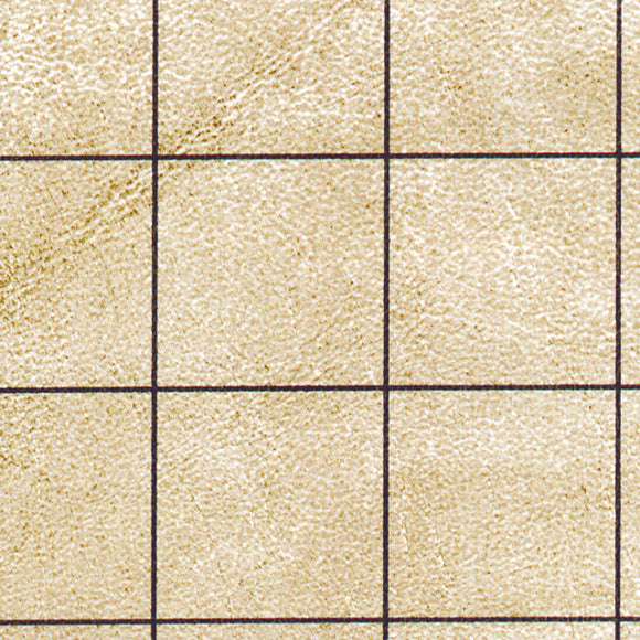 A double-sided battlemat designed for gaming, featuring a textured beige surface divided into squares by thin black lines. Ideal for tabletop role-playing games, allowing for easy map creation and gameplay visualization.