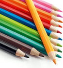 12 Watercolor Pencils