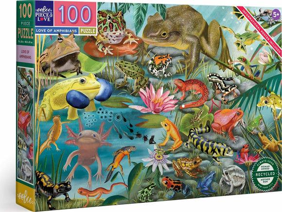 A colorful 100-piece jigsaw puzzle titled 'Love of Amphibians' by Eeboo, featuring a vibrant underwater scene filled with various frogs, toads, and aquatic plants. The box displays detailed illustrations of amphibians in their natural habitat, suitable for children aged 5 and up, with an informational poster included.