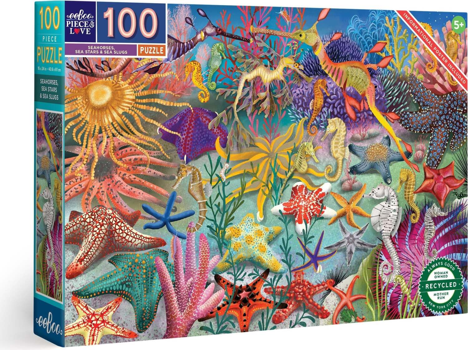 Seahorses, Sea Stars & Sea Slugs (100 piece puzzles)