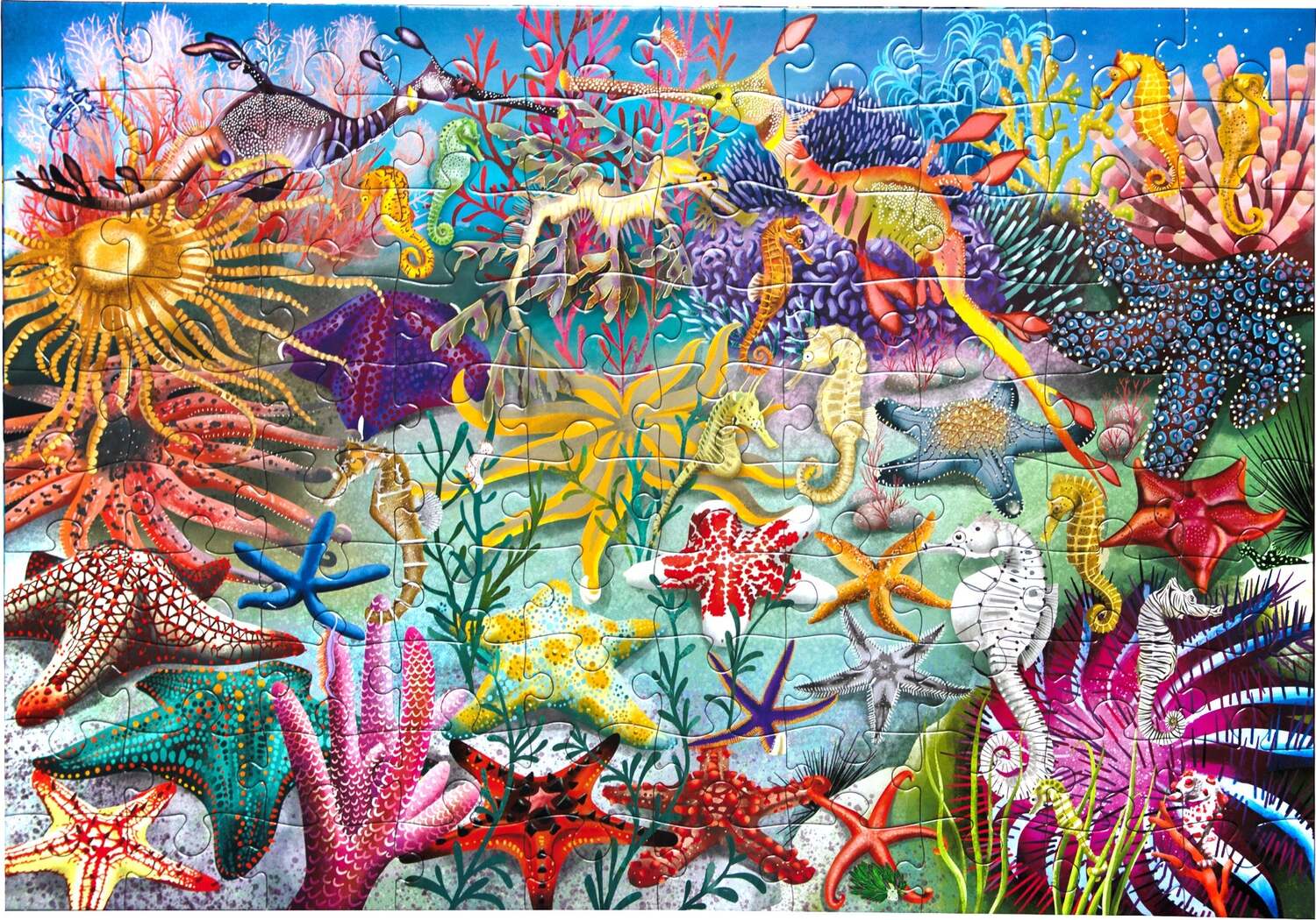 Seahorses, Sea Stars & Sea Slugs (100 piece puzzles)