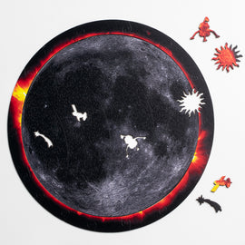 Moon with the sun's corona, showing several whimsy pieces