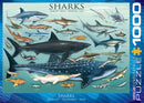 A jigsaw puzzle titled 'Sharks' by Eurographics featuring a vibrant illustration of various shark species, including a Great White Shark, Tiger Shark, and Whale Shark, surrounded by colorful ocean details. The puzzle has 1000 pieces and is designed for marine life enthusiasts and puzzle lovers alike.