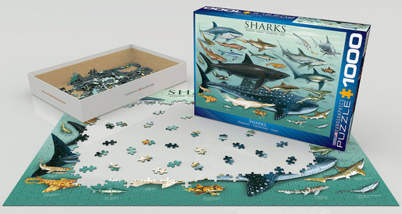 A 1000-piece jigsaw puzzle titled 'Sharks' by Eurographics, featuring a vibrant illustration of various shark species on the box cover. The puzzle pieces are spread out on a table, with some pieces already assembled on a blue ocean-themed base. The box is shown partially open, revealing the intricately shaped pieces inside.